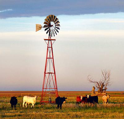 Perfectly Pastoral