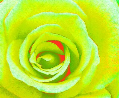 Digital Yellow Rose