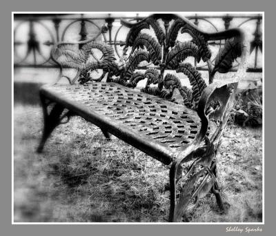 Old Iron Bench
