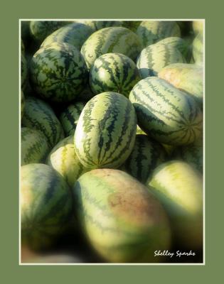 Juicy Melons