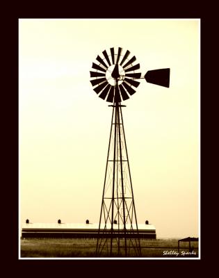 Windmill At Terra Firma Stables