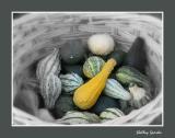 Gourds in a Basket