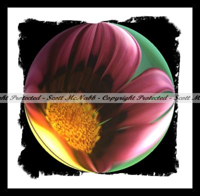 Circle Flower 2.jpg
