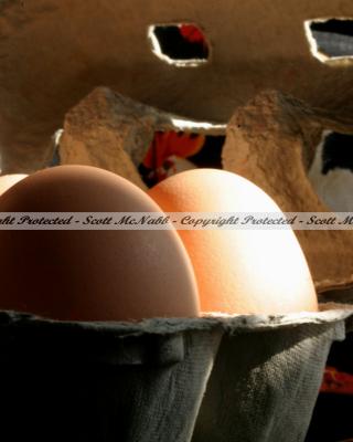 Eggs in Box.jpg