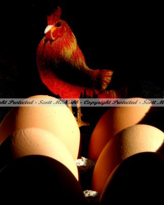 The watchfull Rooster.jpg