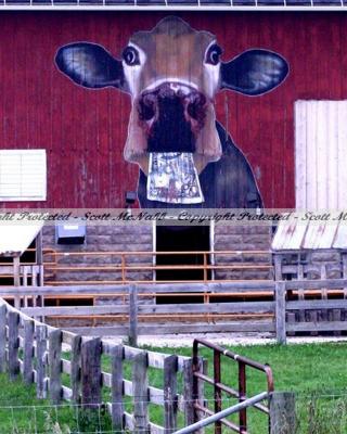cow barn.jpg
