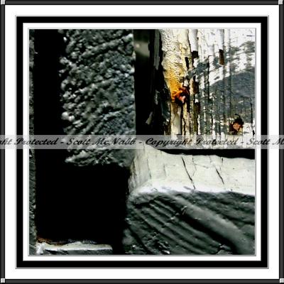 Rusty Nail 2 Framed.jpg