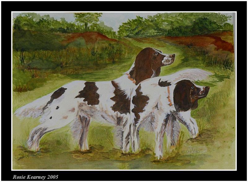 Two springers