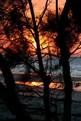 Fraser Island Sunset 2