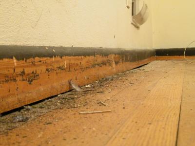 I tried scraping the baseboards