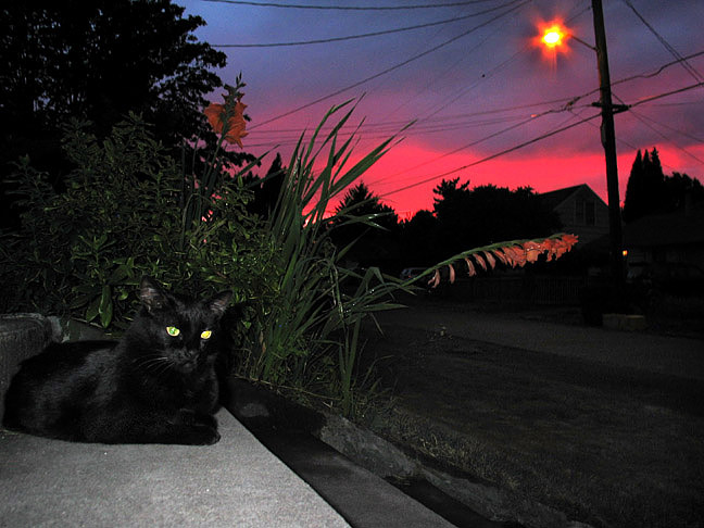 An ominous sunset doesn't even rate attention from me.