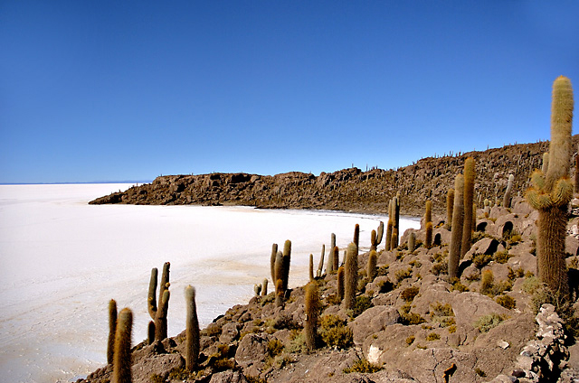 v3/23/19323/1/49163053.uyuni.jpg