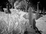 Black & White Infrared
