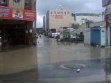 6th typhoon this year  (2005 season)