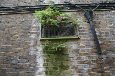 aIMG_0435.jpg