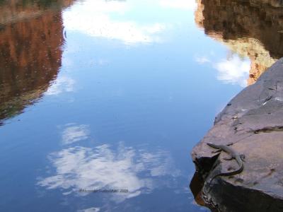 Bluff pools reflection