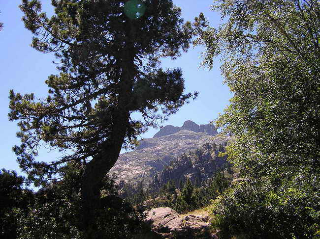 La Cardinqure