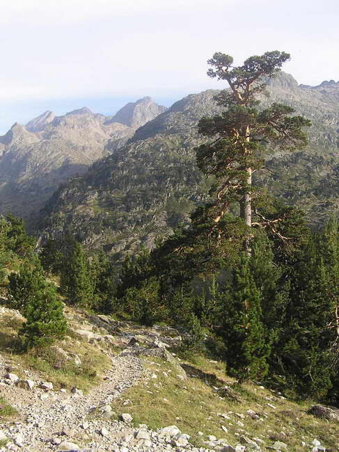 Sentier du lac Nre depuis le Marcadau