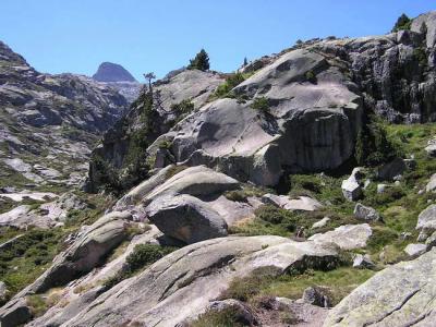 Soum de Bassia au fond