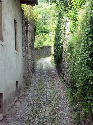 v3/23/360023/3/45720475.corconio.jpg
