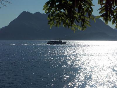 08.07.2005 - Morning boat