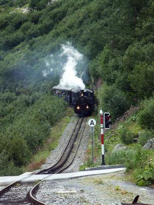 Arriving at Gletsch station 2