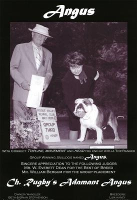 Dog News Ad #3