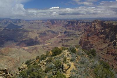 Grand Canyon (2005)