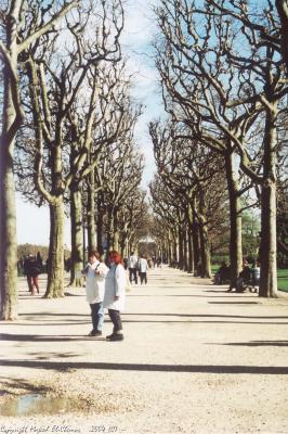 champs de mars in winter