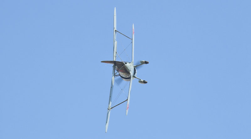 _DSC5916-01_web.jpg