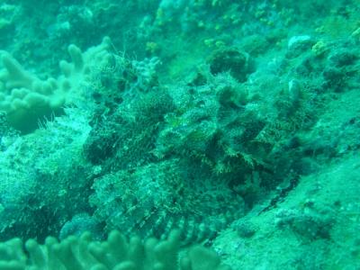 Palau Tioman (Salang), Malaysia