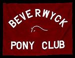 ponyclub