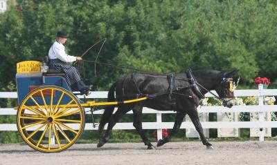 Walnut Hill Carriage Competition 2005