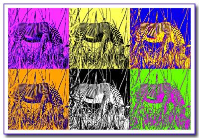 Warhol-Zebras.jpg