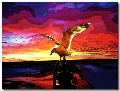 Kens-Gull-Wing.jpg