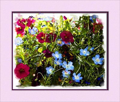 flower-basket-wc.jpg