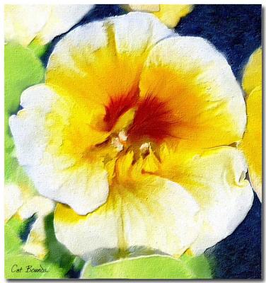 Phils-Flower-Power.jpg