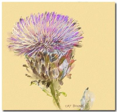 Kens-Thistle.jpg