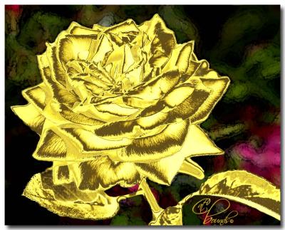 Gold-rose.jpg