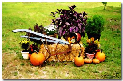 v3/23/476723/3/50673330.autumnscene.jpg