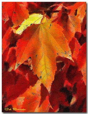 Red-Leaves-2.jpg