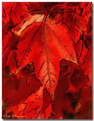 Red-Leaves-4.jpg