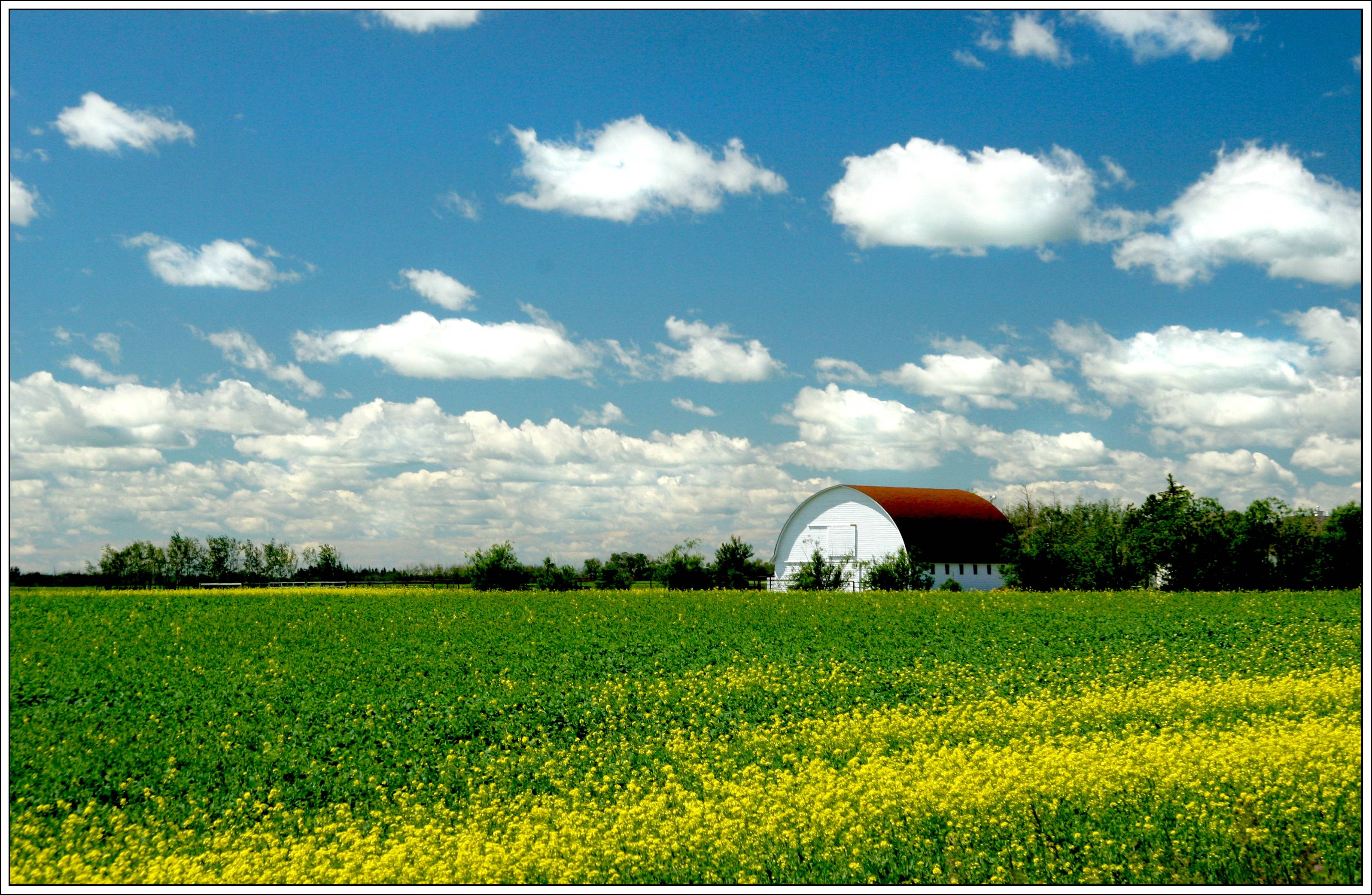 Life in the Prairies