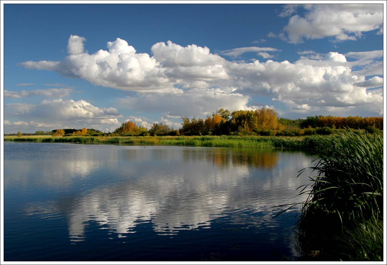 Afternoon Reflection