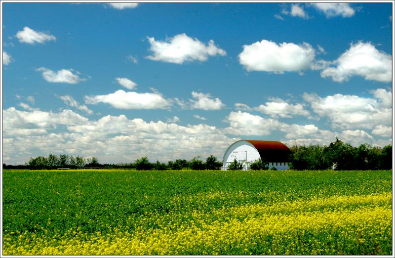 Life in the Prairies