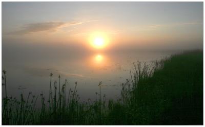 Fog Sunrise Three