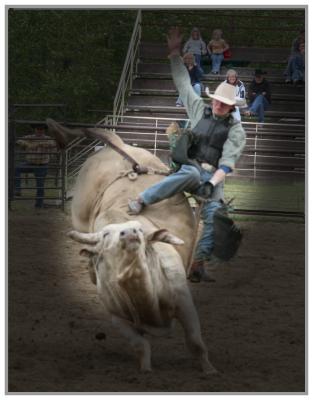Fun Times at the Rodeo