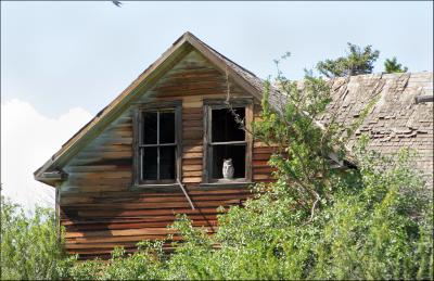 A Roof Over His Head