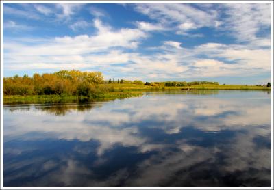 Fall Reflection  Lake by the Park