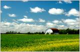 Life in the Prairies